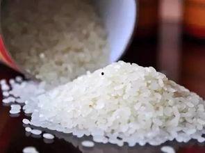 大米加工爆料视频,从田间到餐桌的华丽蜕变